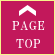 ページトップへ
